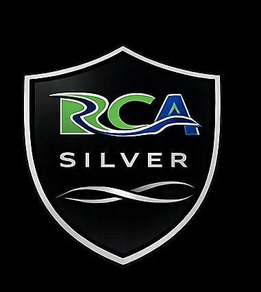 silver logo